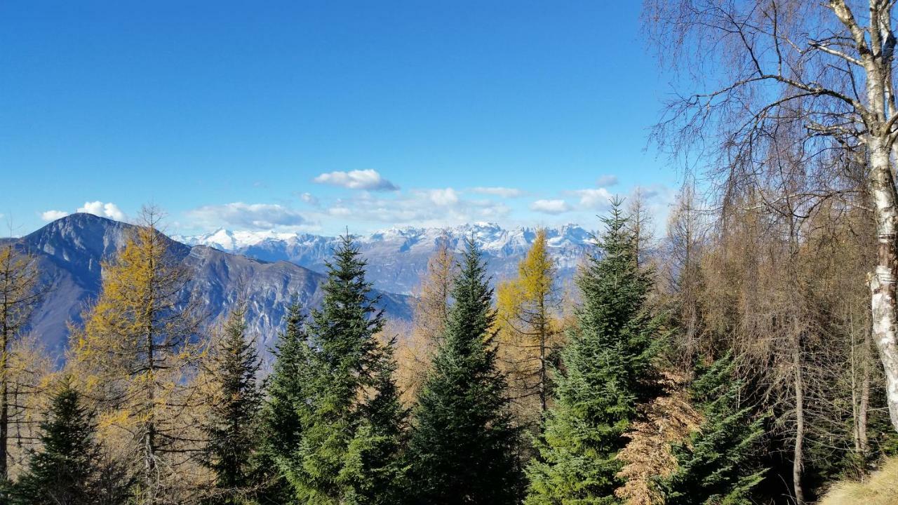 A&B Le Terrazze Del Sale' - Apartments Trento Kültér fotó